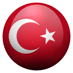 Türkçe
